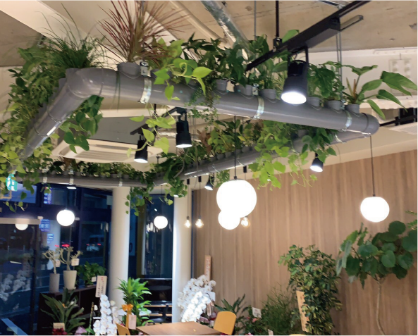 ハウスドゥ松山国道11号店