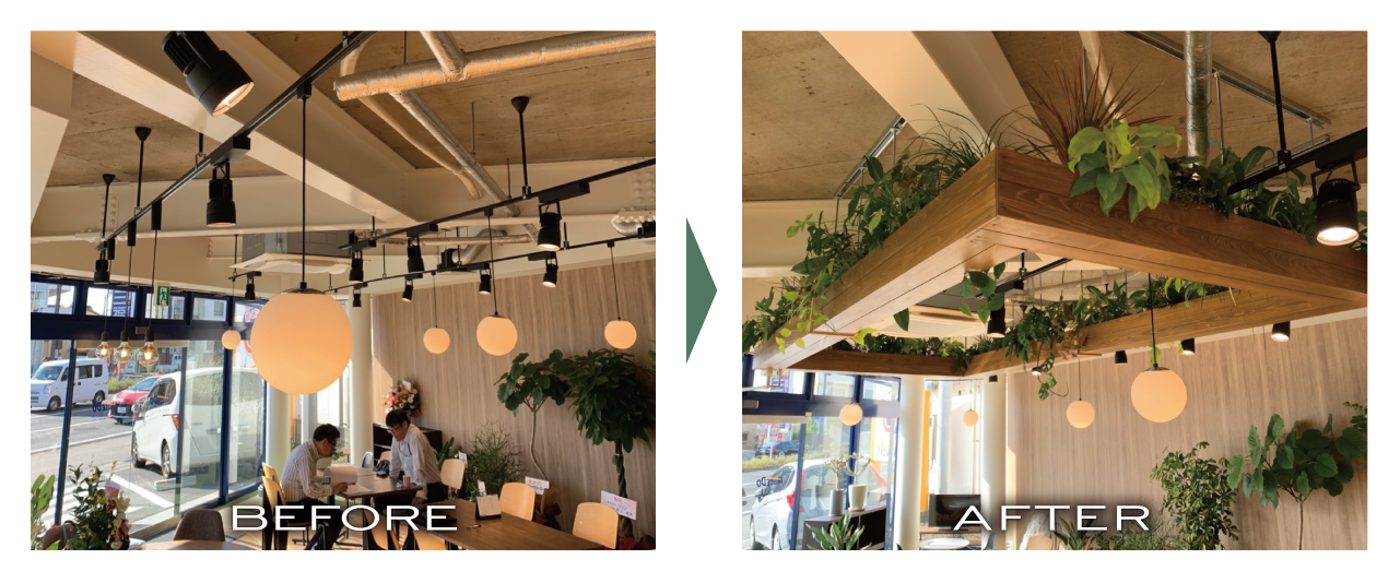 ハウスドゥ 松山国道11号店様 緑化実績